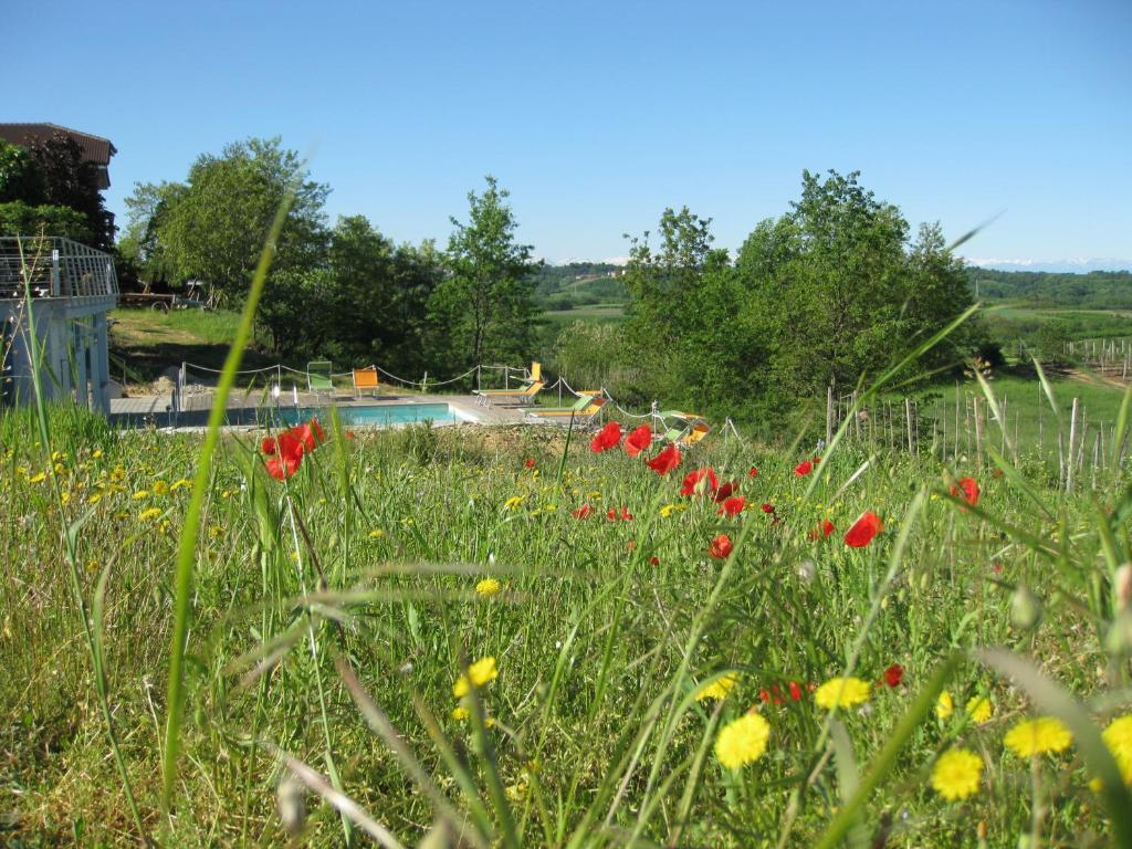Agriturismo Cascina Ponchietta Monta Exterior photo