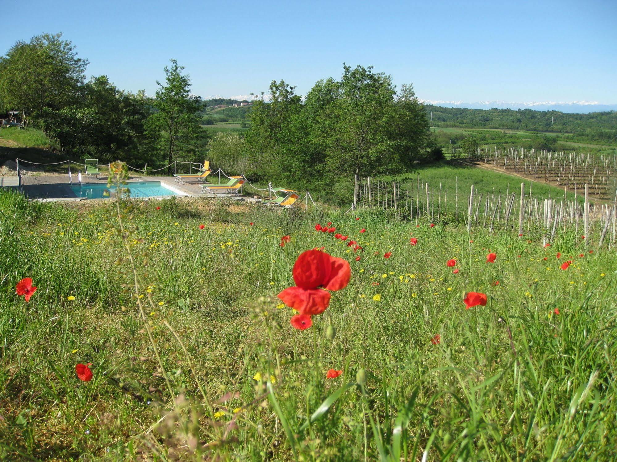 Agriturismo Cascina Ponchietta Monta Exterior photo